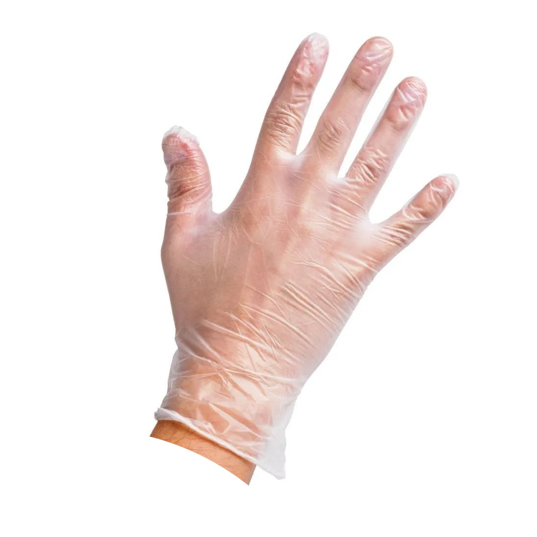 Powder-Free Vinyl Disposable Gloves Large (Box of 100)